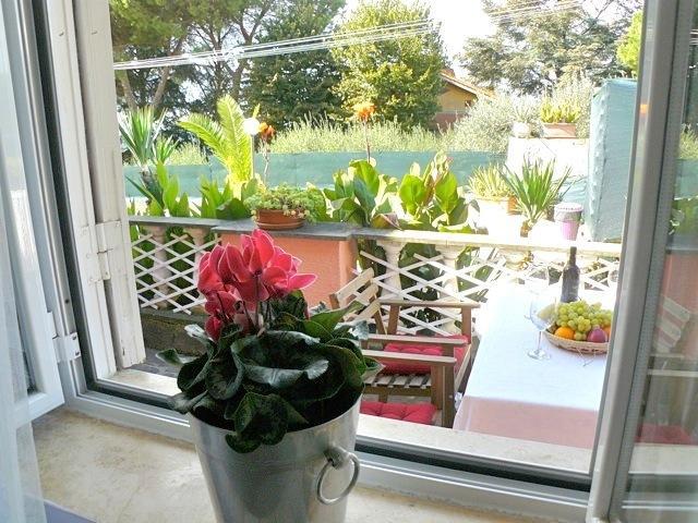 Villa D Apartments Marino Dış mekan fotoğraf